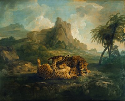 タイガースアットプレイ、1763年頃 作： George Stubbs